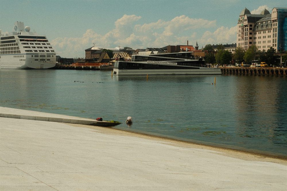 Cruise ships docked in a harbor beside a waterfront promenade